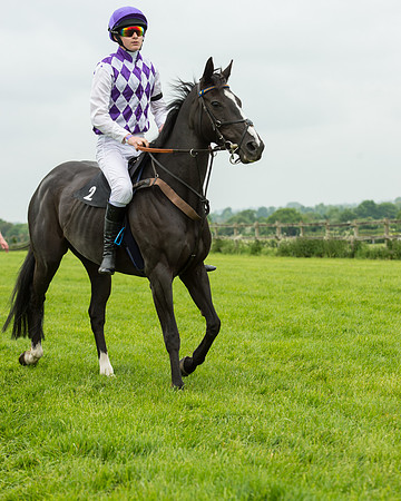 Pony Race 2 (27 of 64).jpg
