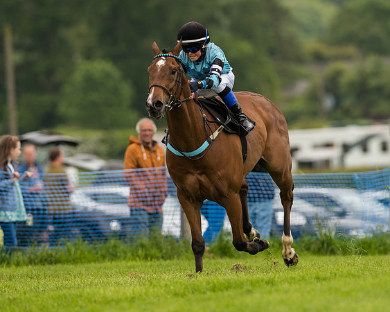 Pony Race 2 (32 of 64).jpg