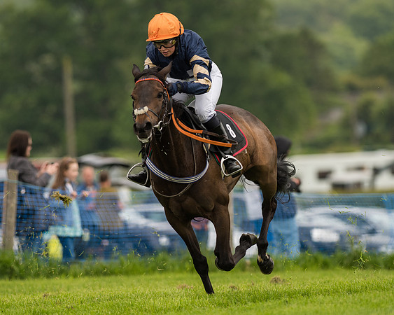 Pony Race 2 (34 of 64).jpg
