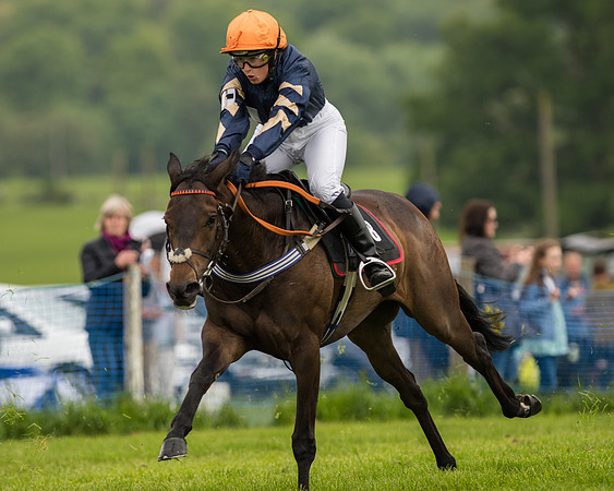 Pony Race 2 (35 of 64).jpg