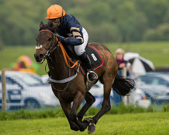 Pony Race 2 (36 of 64).jpg