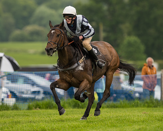 Pony Race 2 (37 of 64).jpg