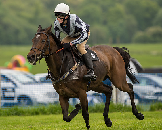 Pony Race 2 (38 of 64).jpg