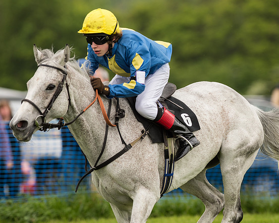 Pony Race 2 (41 of 64).jpg