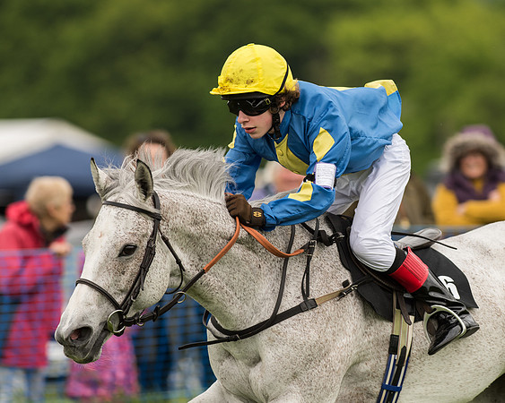 Pony Race 2 (42 of 64).jpg