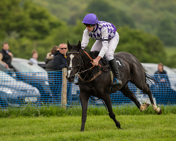 Pony Race 2 (43 of 64).jpg