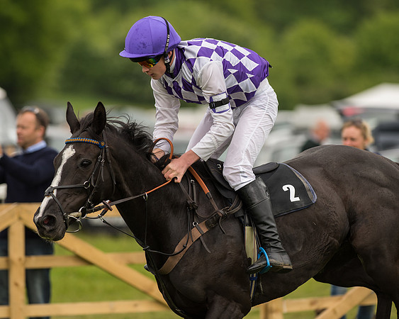Pony Race 2 (45 of 64).jpg