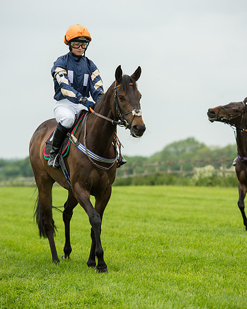 Pony Race 2 (12 of 64).jpg