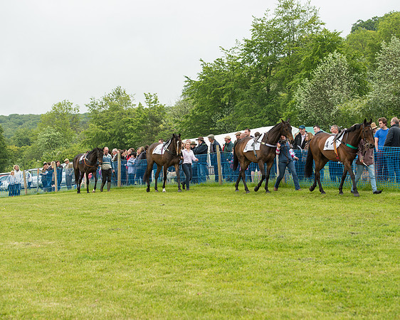 Race 1 - Members Race (18 of 125).jpg