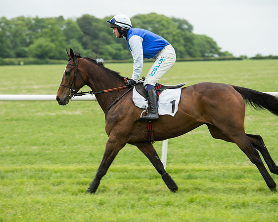 Race 2 - Intermediate Race (18 of 96).jpg