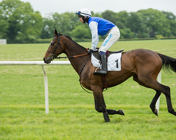 Race 2 - Intermediate Race (19 of 96).jpg