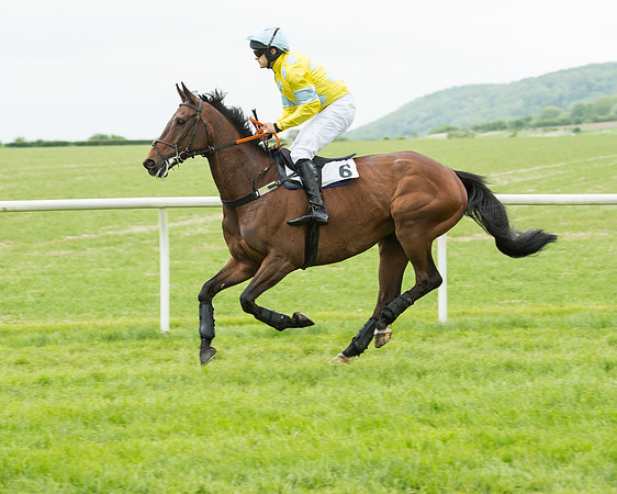 Race 2 - Intermediate Race (20 of 96).jpg