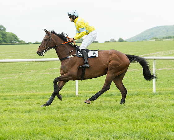 Race 2 - Intermediate Race (21 of 96).jpg