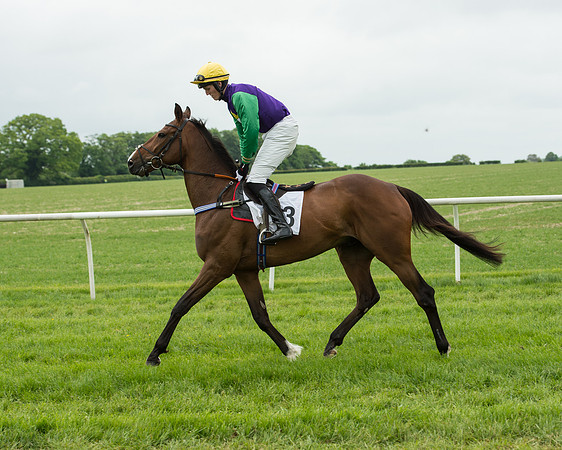 Race 2 - Intermediate Race (22 of 96).jpg