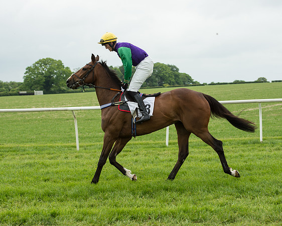 Race 2 - Intermediate Race (23 of 96).jpg