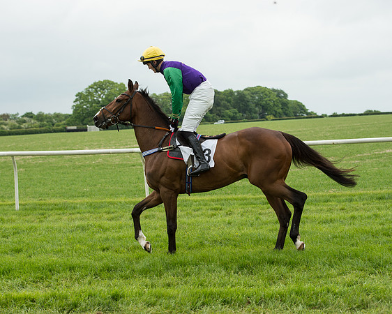 Race 2 - Intermediate Race (24 of 96).jpg