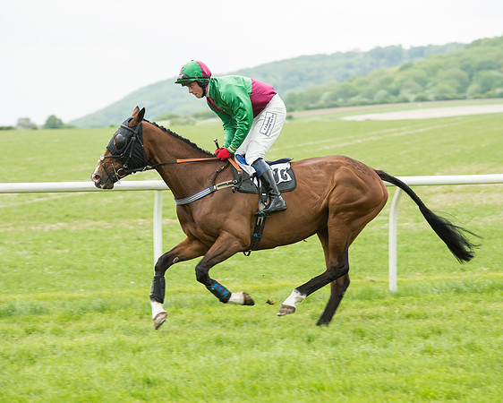 Race 2 - Intermediate Race (25 of 96).jpg