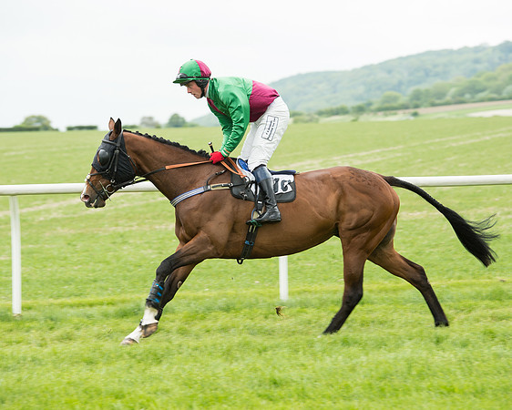 Race 2 - Intermediate Race (26 of 96).jpg
