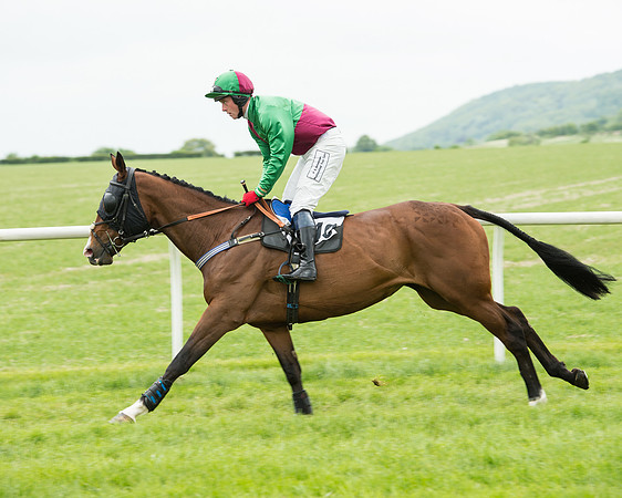 Race 2 - Intermediate Race (27 of 96).jpg