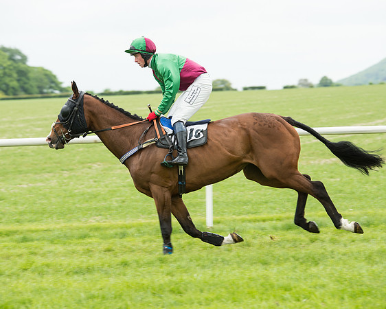 Race 2 - Intermediate Race (28 of 96).jpg