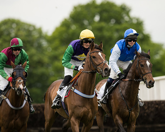 Race 2 - Intermediate Race (42 of 96).jpg