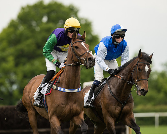 Race 2 - Intermediate Race (43 of 96).jpg