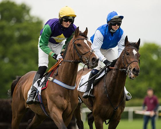 Race 2 - Intermediate Race (44 of 96).jpg