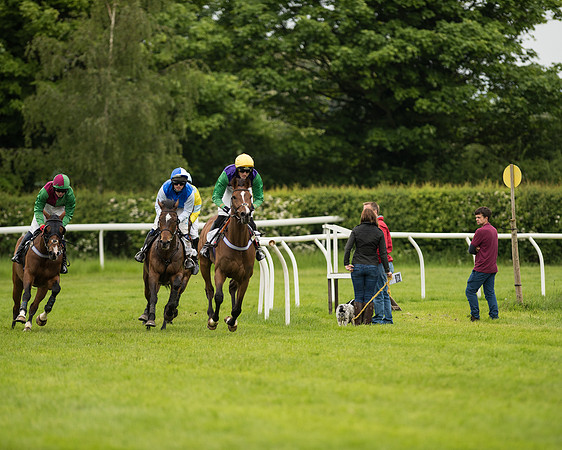 Race 2 - Intermediate Race (59 of 96).jpg
