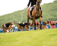 Race 4 - Ladies Open Race (4 of 125).jpg