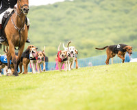 Race 4 - Ladies Open Race (5 of 125).jpg
