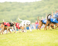 Race 4 - Ladies Open Race (6 of 125).jpg
