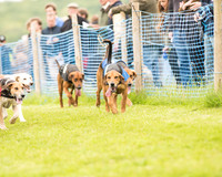 Race 4 - Ladies Open Race (7 of 125).jpg
