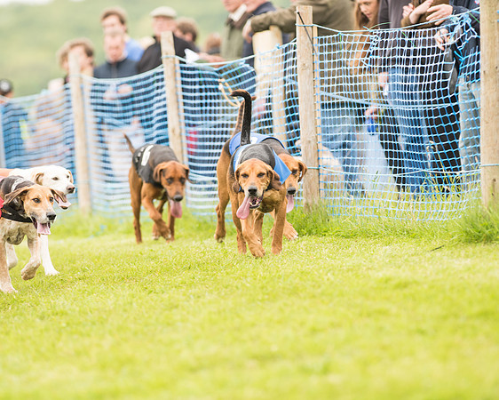 Race 4 - Ladies Open Race (7 of 125).jpg