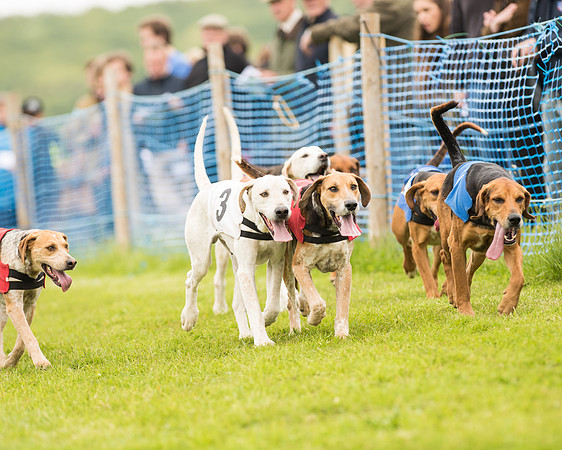 Race 4 - Ladies Open Race (8 of 125).jpg