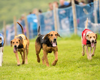 Race 4 - Ladies Open Race (9 of 125).jpg