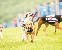 Race 4 - Ladies Open Race (10 of 125).jpg