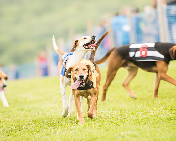 Race 4 - Ladies Open Race (10 of 125).jpg