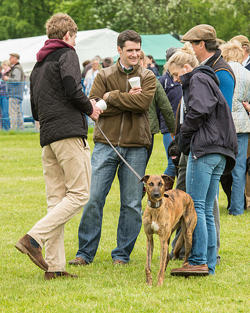 Race 4 - Ladies Open Race (99 of 125).jpg