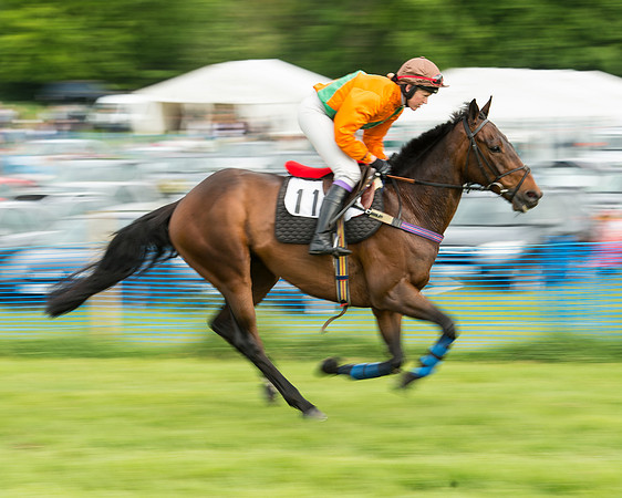Race 5 - Restricted Race (61 of 180).jpg