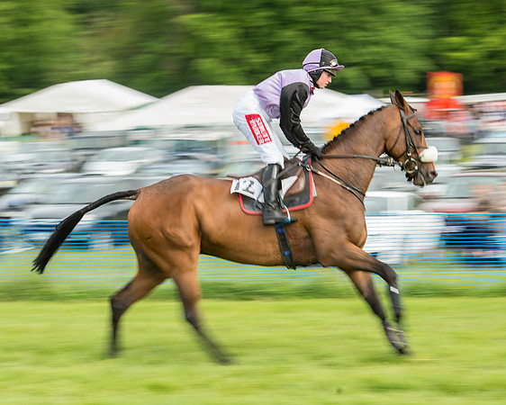 Race 5 - Restricted Race (63 of 180).jpg