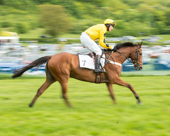Race 5 - Restricted Race (68 of 180).jpg