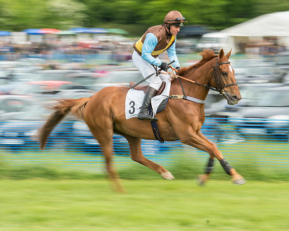 Race 5 - Restricted Race (70 of 180).jpg