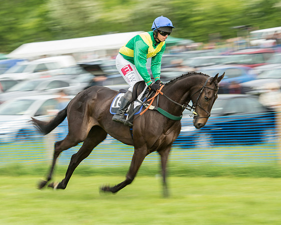 Race 5 - Restricted Race (73 of 180).jpg