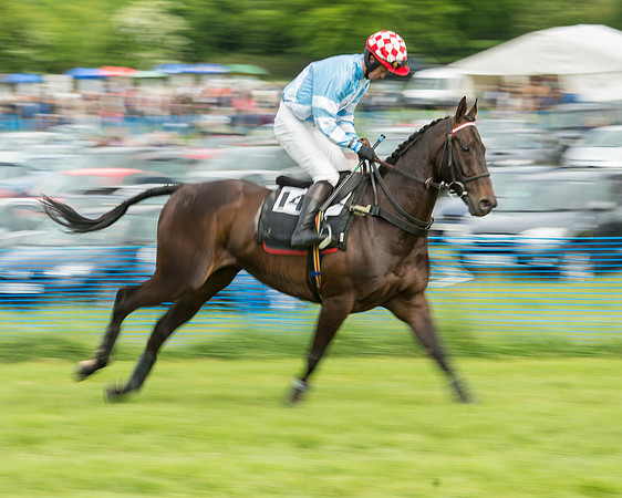 Race 5 - Restricted Race (76 of 180).jpg