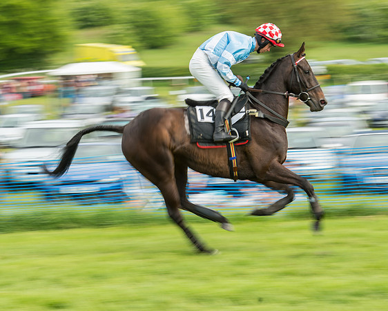 Race 5 - Restricted Race (77 of 180).jpg
