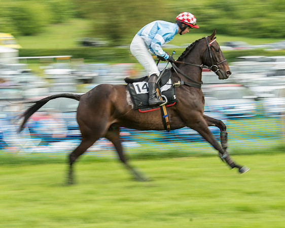 Race 5 - Restricted Race (78 of 180).jpg