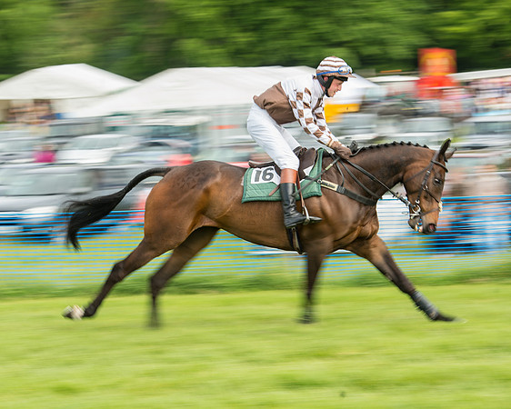 Race 5 - Restricted Race (81 of 180).jpg