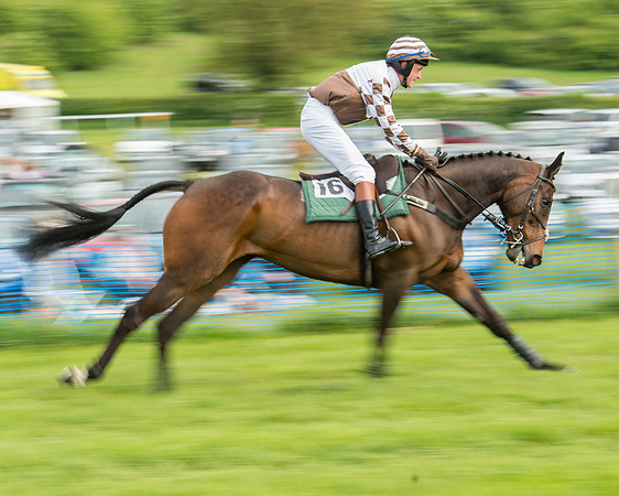 Race 5 - Restricted Race (82 of 180).jpg