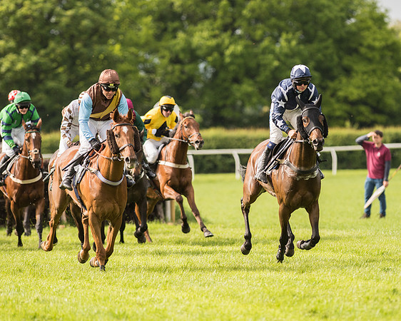Race 5 - Restricted Race (93 of 180).jpg
