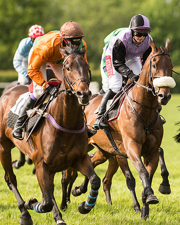 Race 5 - Restricted Race (99 of 180).jpg